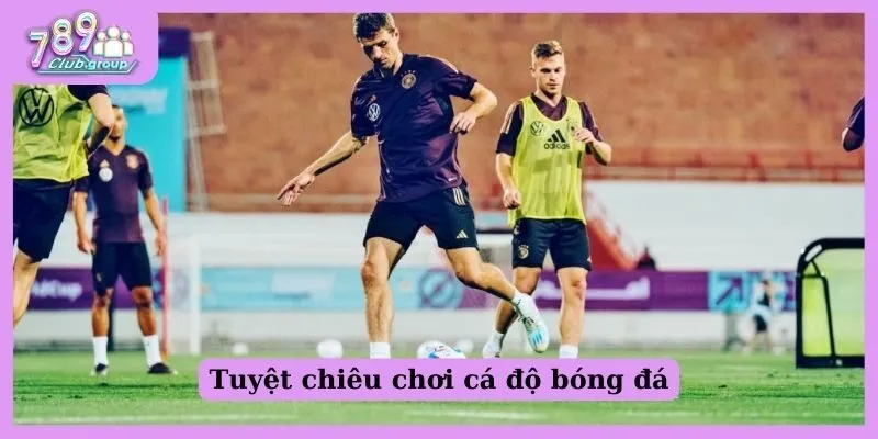 Kèo 1x2 là gì? Cách đọc kèo và tuyệt chiêu cá độ hay nhất 3 Tuyệt chiêu chơi cá độ bóng đá