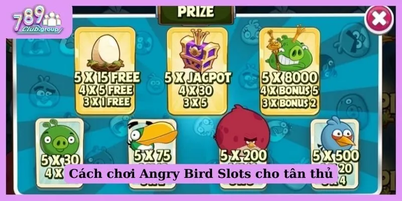 Cách chơi Angry Bird Slots - Cơ hội trúng thưởng cực lớn! 2 Cách chơi Angry bird slots cho tân thủ