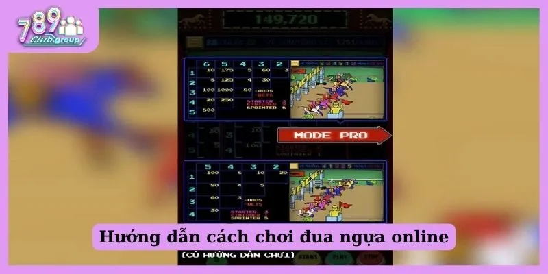 Cách cá cược đua ngựa tại 789Club từ A - Z cho newbie 2 Hướng dẫn cách chơi đua ngựa online