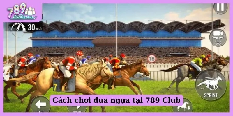Hướng dẫn cách chơi đua ngựa tại 789 Club cho tân thủ 1 Hướng dẫn cách chơi đua ngựa tại 789 Club