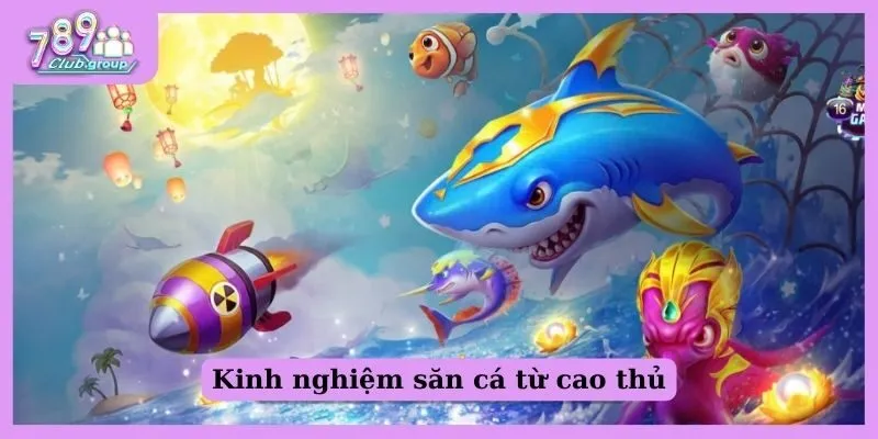 Bắn cá trực tuyến - Khám phá đại dương kiếm bộn vàng 3 Kinh nghiệm săn cá từ cao thủ