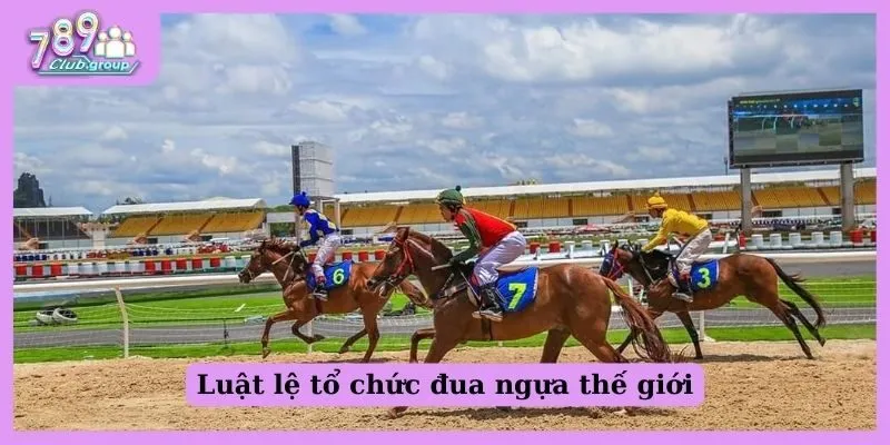 Đua ngựa thế giới là gì? Tất tần tật các thông tin nên biết! 3 Luật lệ tổ chức trận đua ngựa thế giới