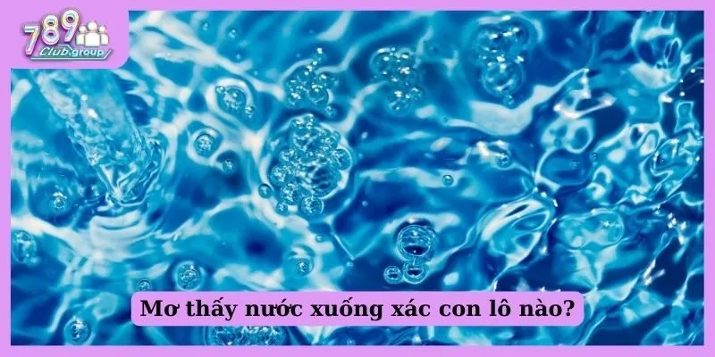 Giải đáp: Nằm mơ thấy nước nên quất con nào mới đúng? 3 Mơ thấy nước xuống xác con lô nào?