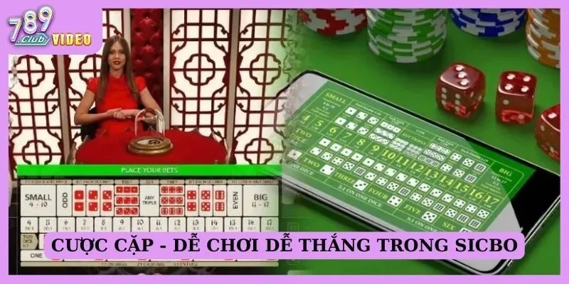 Cách hiểu các loại cược trong game Sicbo chi tiết cho tân thủ 2 Cược cặp - Dễ chơi dễ thắng trọng Sicbo