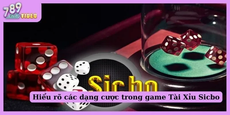 Những chiến thuật chơi Sicbo hiệu quả được cao thủ chia sẻ 1 Hiểu rõ các dạng cược trong game Tài Xỉu Sicbo
