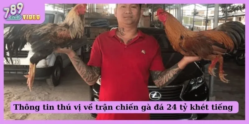 Gà Đá 24 Tỷ - Anh Em Biết Gì Về Trận Chiến Chấn Động Này? 1 Thông tin thú vị về trận chiến gà đá 24 tỷ khét tiếng