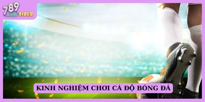 Kinh nghiệm chơi cá độ bóng đá